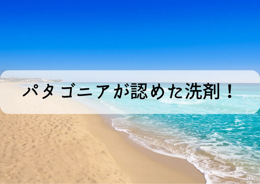 パタゴニアが認めた洗剤がすごい？オールシングスインネイチャーとは？