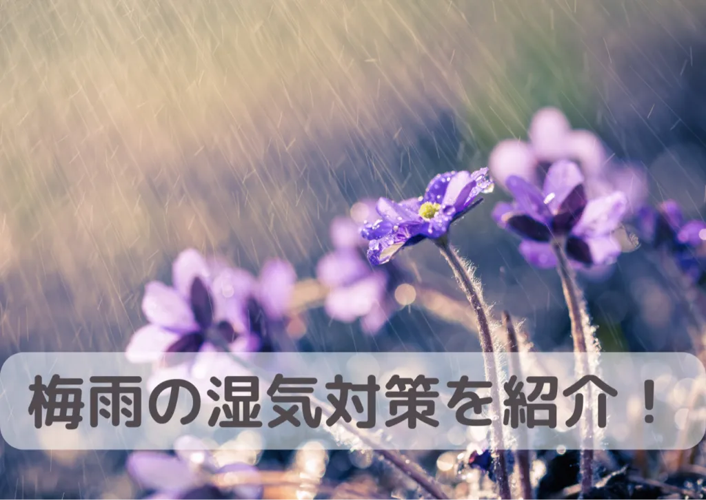 梅雨は布団の湿気に注意！対策方法を紹介